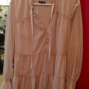 Sheer rose dress